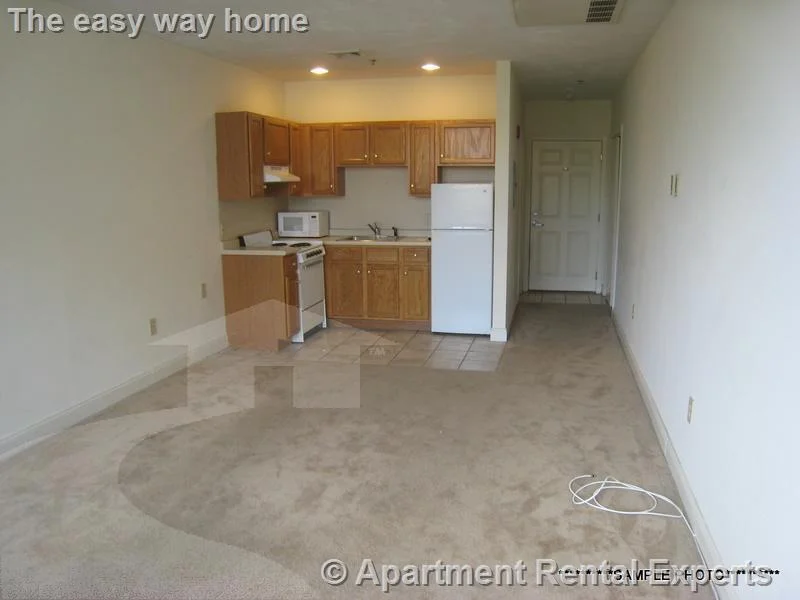 Studio bed, 1 bath apartment for rent at 15 Pearl St Unit 26, Central Square — photo 3 of 6