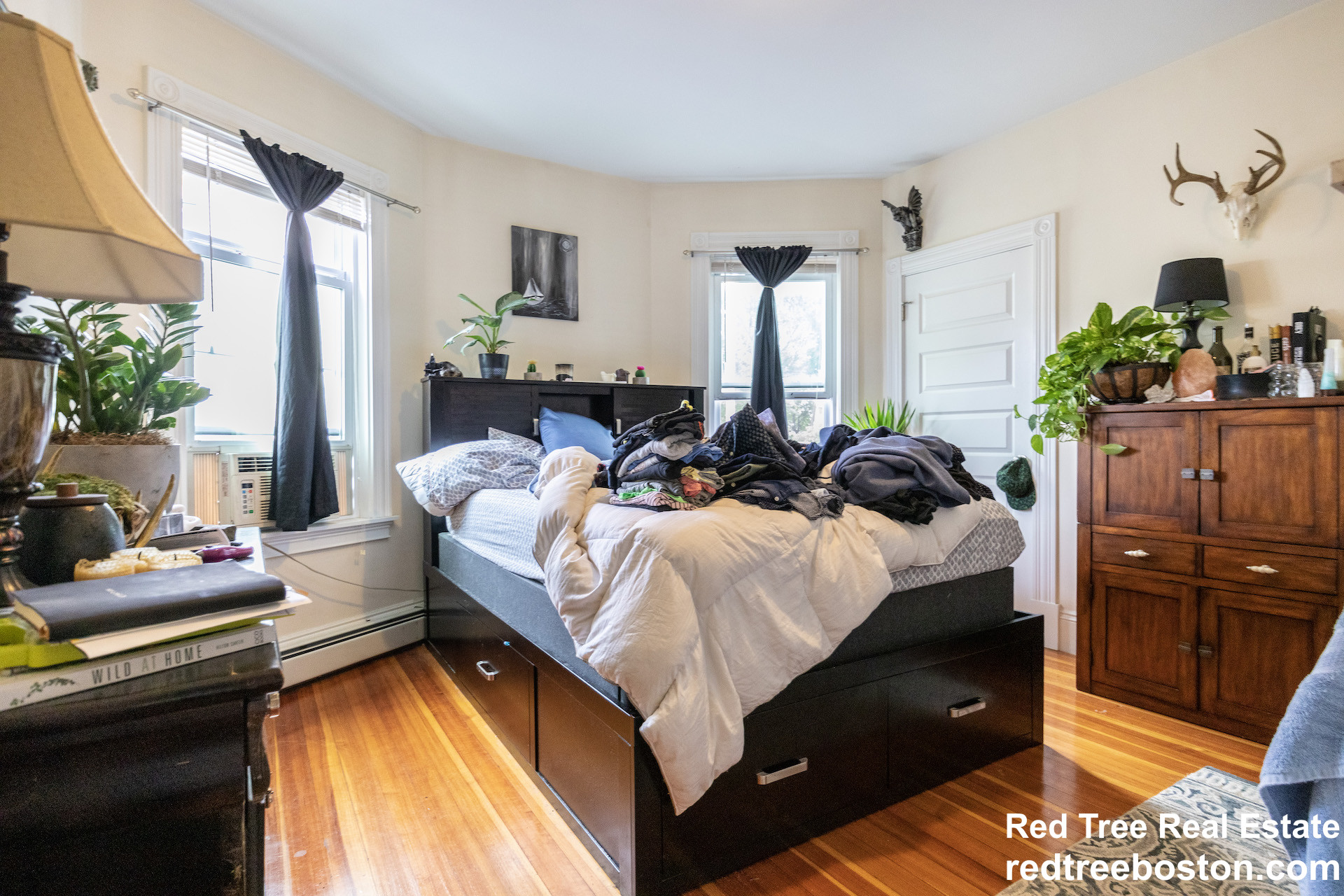 4 bed, 1.5 bath apartment for rent at 15 Romsey St Unit 1, Dorchester — photo 2 of 15