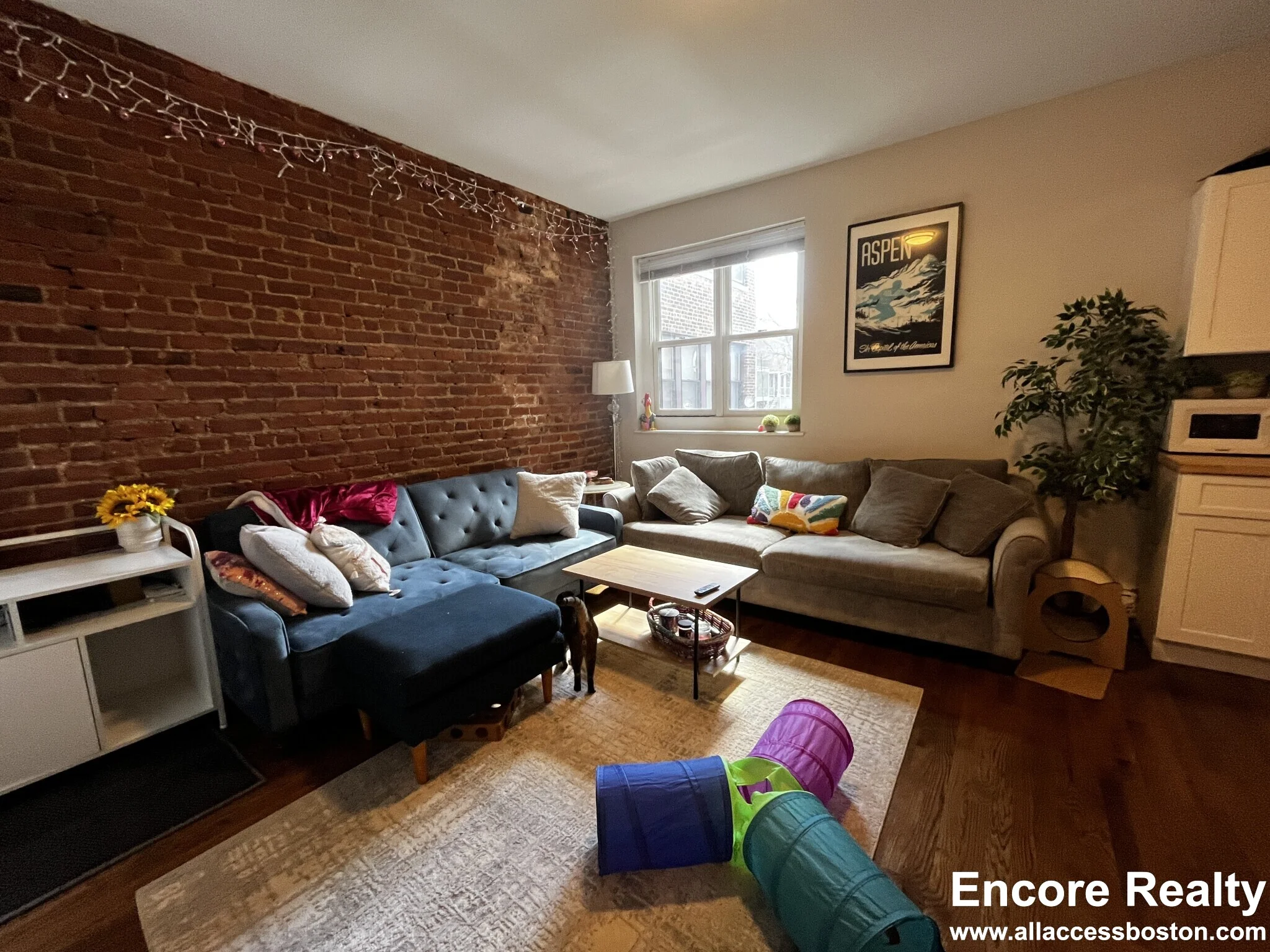 3 bed, 1 bath apartment for rent at 15 Stearns Rd Unit 4C, Coolidge Corner