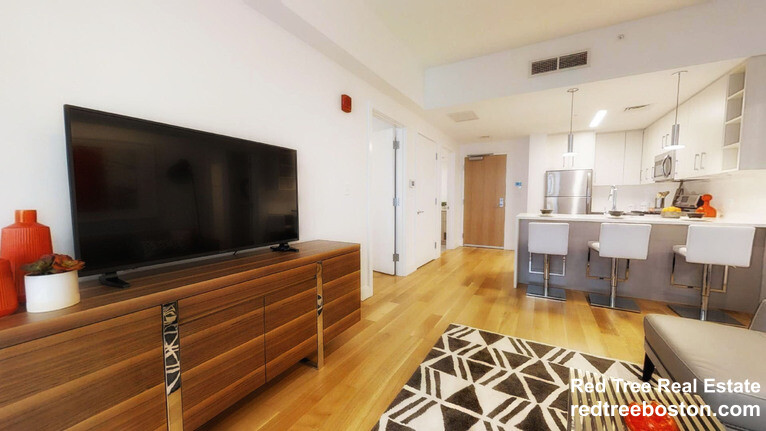 2 bed, 2 bath apartment for rent at 150 Camden St Unit 204, Roxbury — photo 5 of 10