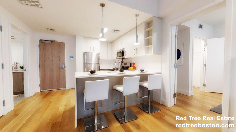 2 bed, 2 bath apartment for rent at 150 Camden St Unit 204, Roxbury — photo 4 of 10