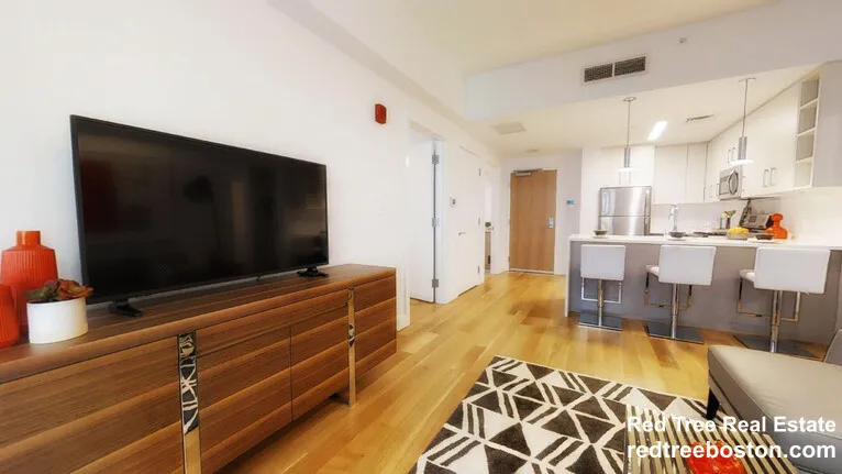 1 bed, 1 bath apartment for rent at 150 Camden St Unit 306, Roxbury — photo 4 of 11