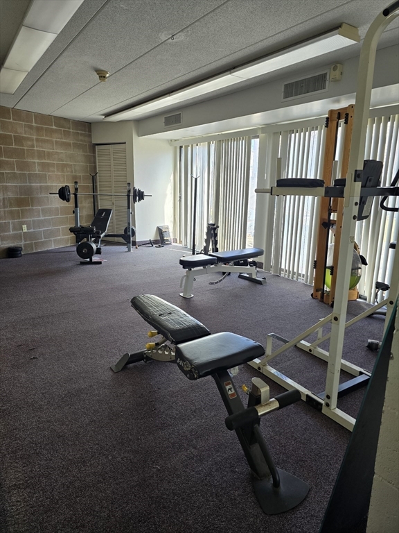 1 bed, 1 bath apartment for rent at 150 Lewis St Unit 206, Lynn — photo 4 of 14