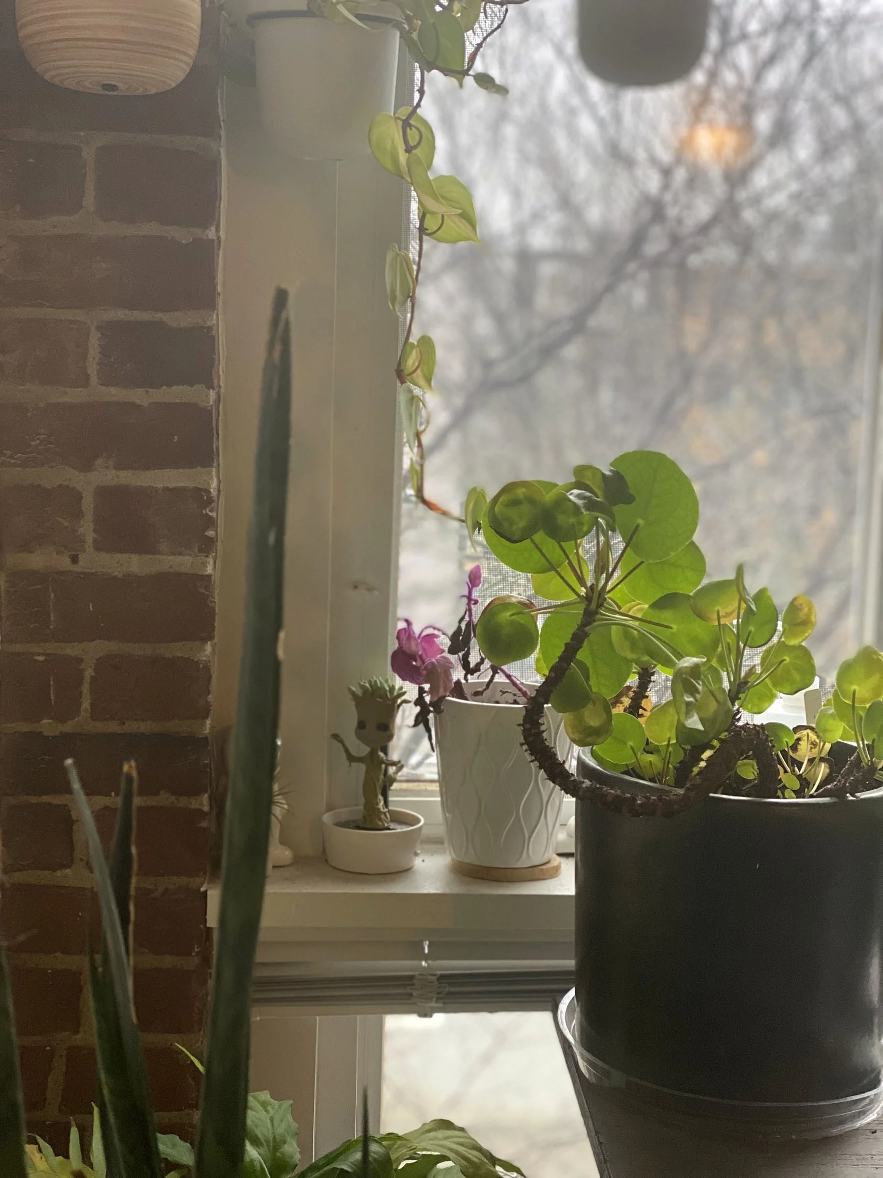 2 bed, 1 bath apartment for rent at 150 Liverpool Unit 4, East Boston — photo 8 of 13