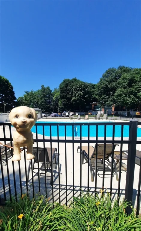 2 bed, 2 bath apartment for rent at 150 Rumford Ave Unit 215, Mansfield — photo 4 of 7