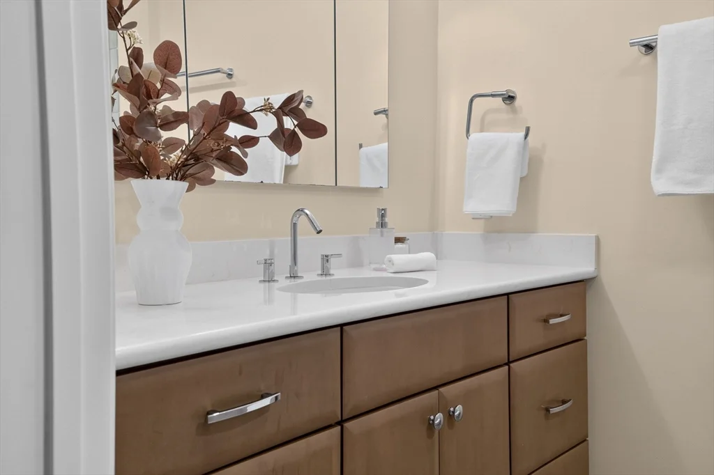 3 bed, 2 bath apartment for rent at 150 Staniford St Unit 331, West End — photo 15 of 24