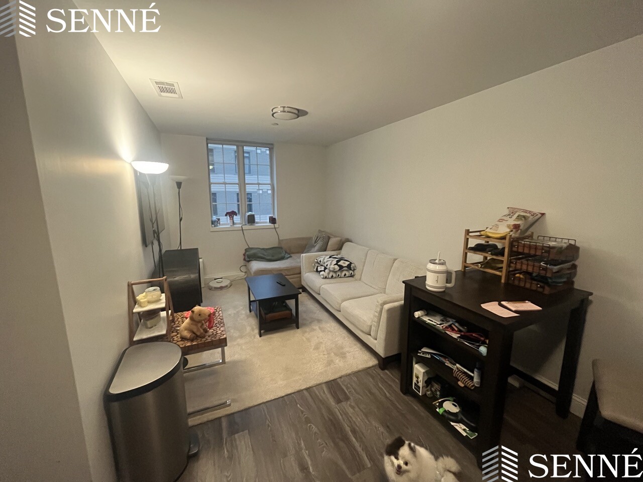 1 bed, 1 bath apartment for rent at 1505 Commonwealth Ave Unit 33, Brighton