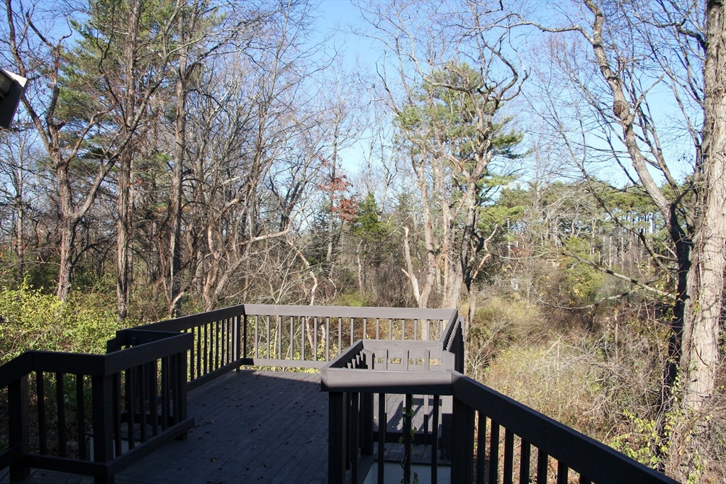 2 bed, 1 bath apartment for rent at 151 Argilla Rd, Ipswich — photo 6 of 18