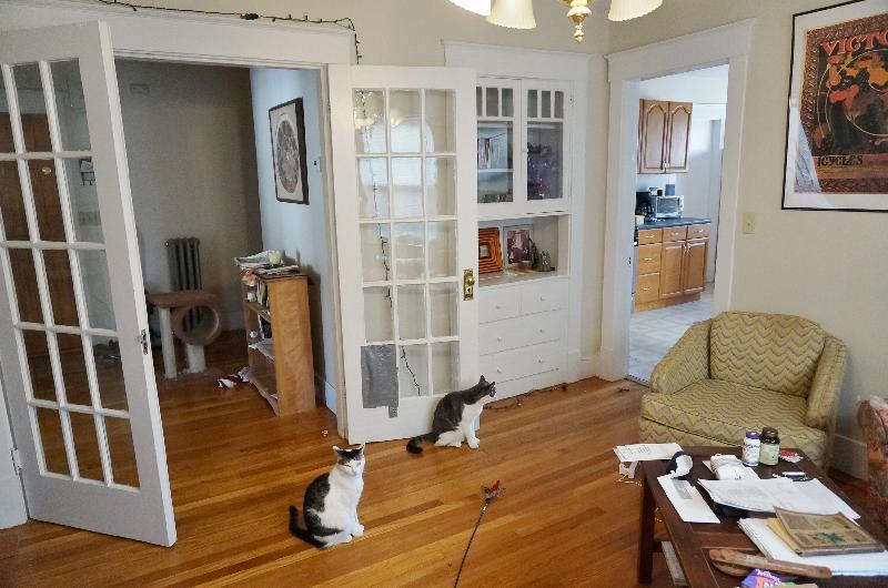 3 bed, 1 bath apartment for rent at 151 Forest Hills St Unit 2, Jamaica Plain — photo 1 of 8