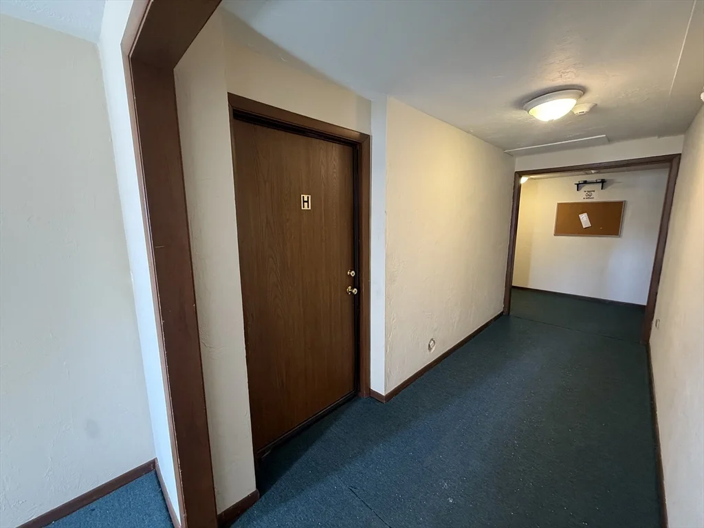 1 bed, 1 bath apartment for rent at 151 Providence Rd Unit H, Grafton — photo 6 of 29