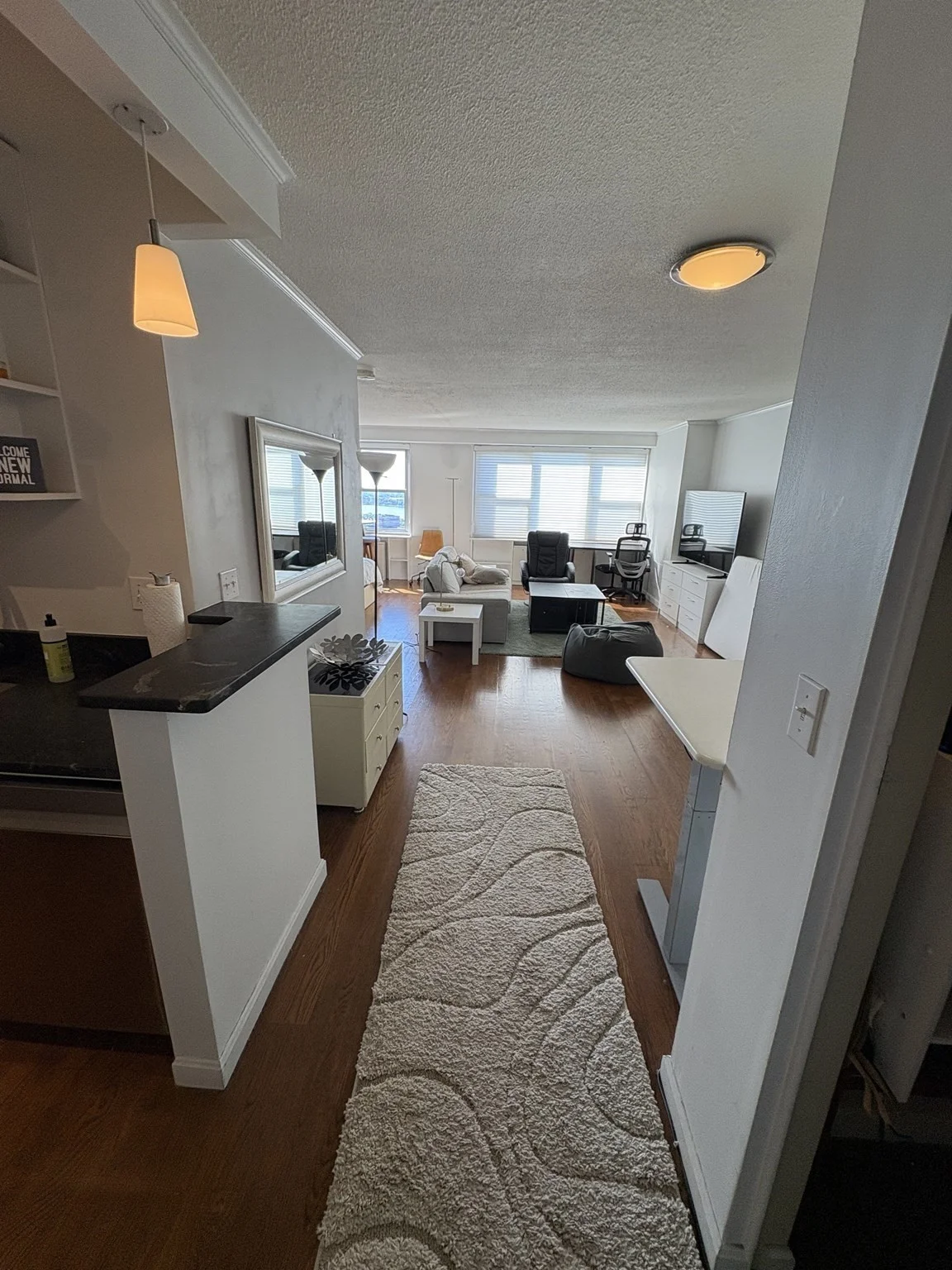 Studio bed, 1 bath apartment for rent at 151 Tremont St Unit 26H, Boston Downtown — photo 3 of 16