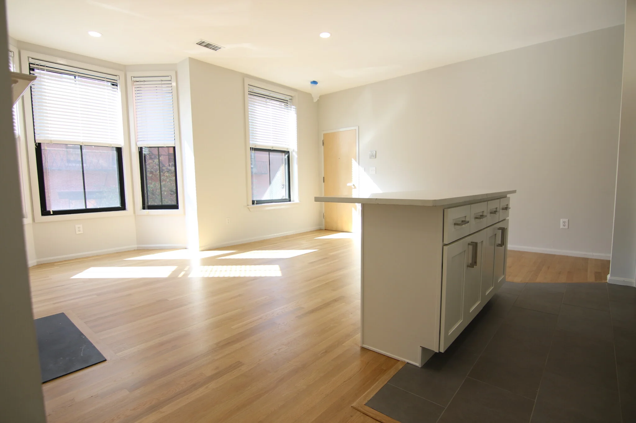 1 bed, 1 bath apartment for rent at 151 West Brookline St Unit 2, South End — photo 3 of 16