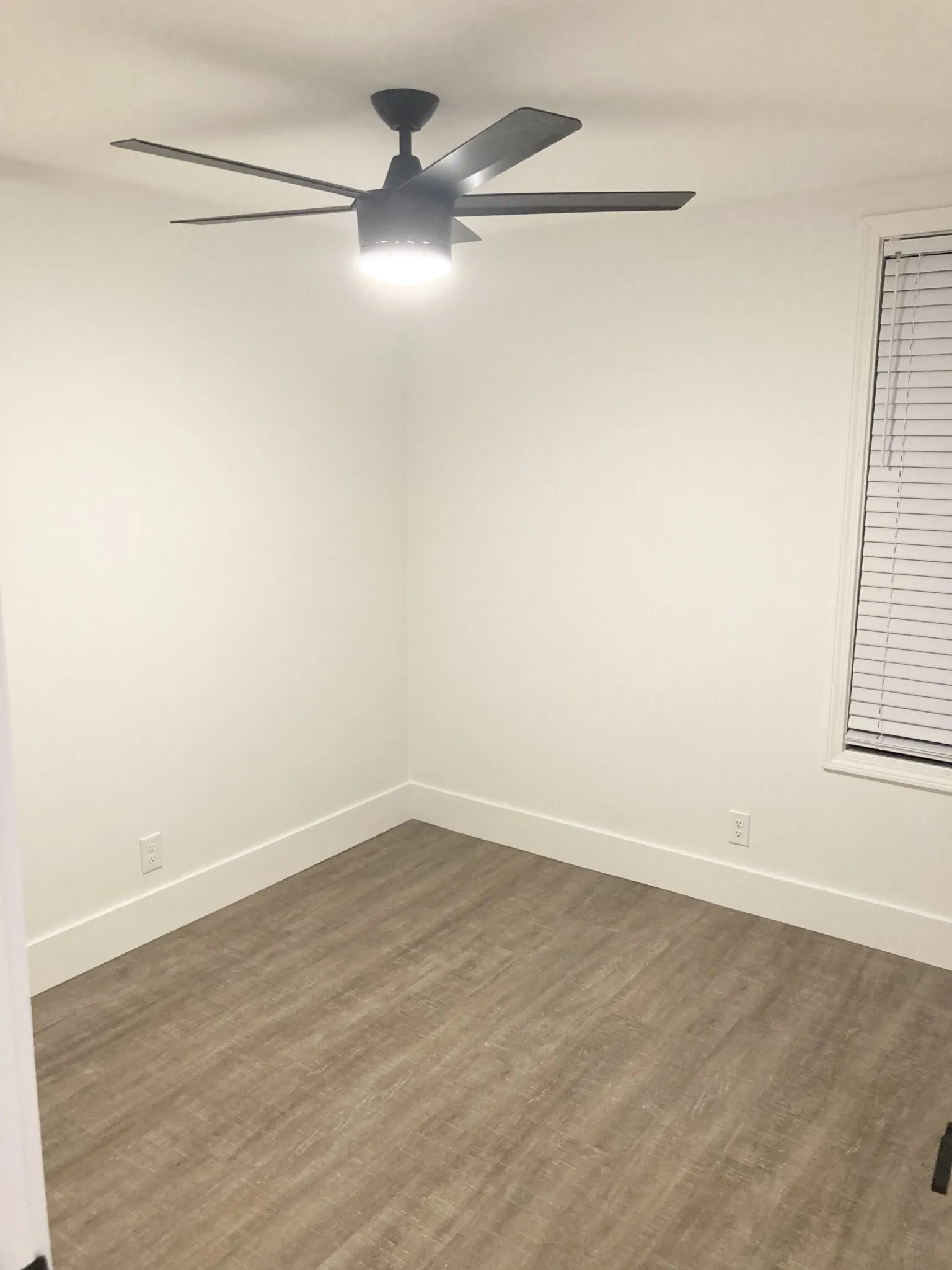4 bed, 2 bath apartment for rent at 1516 Tremont St Unit 2, Mission Hill — photo 13 of 16