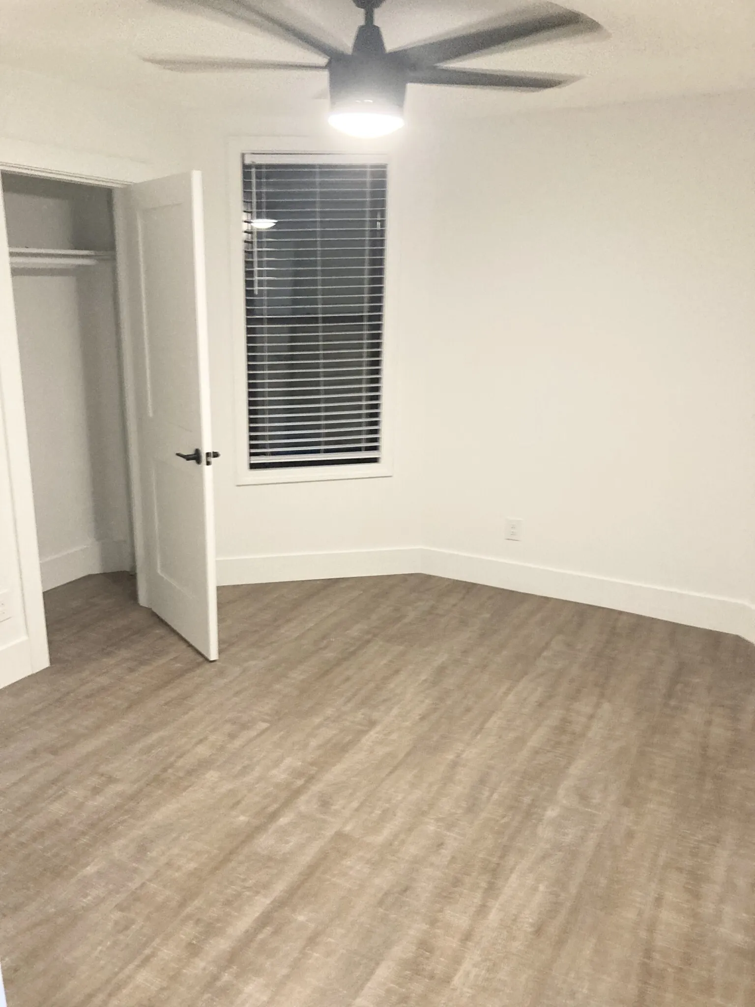 4 bed, 2 bath apartment for rent at 1516 Tremont St Unit 2, Mission Hill — photo 12 of 16