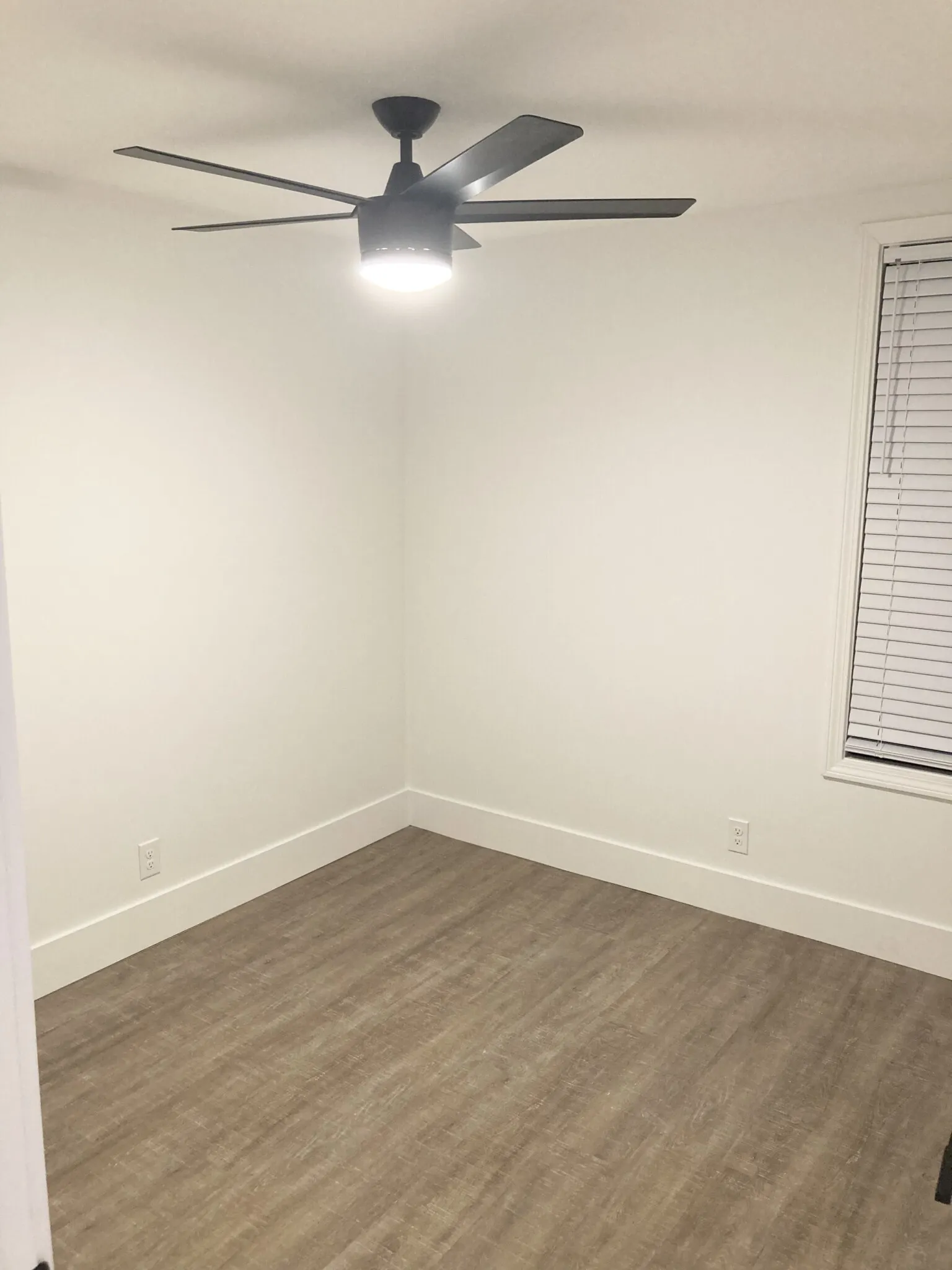 4 bed, 2 bath apartment for rent at 1516 Tremont St Unit 2, Mission Hill — photo 11 of 16