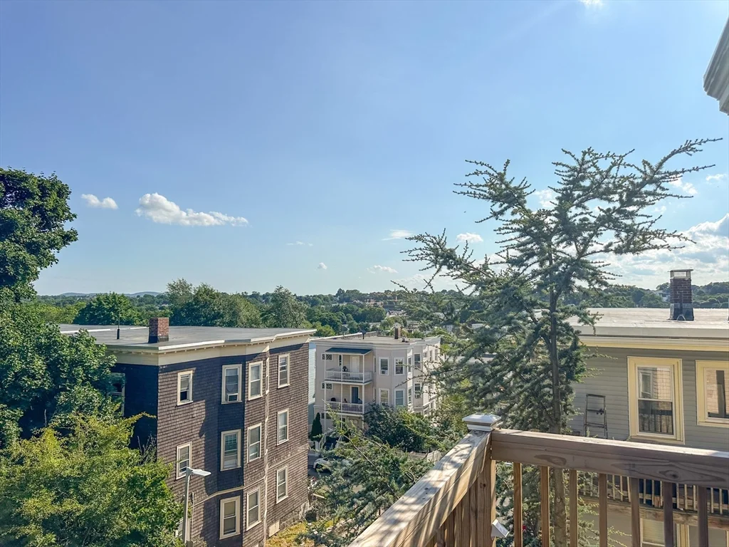 2 bed, 1 bath apartment for rent at 152 Homes Ave Unit 3, Dorchester — photo 20 of 22