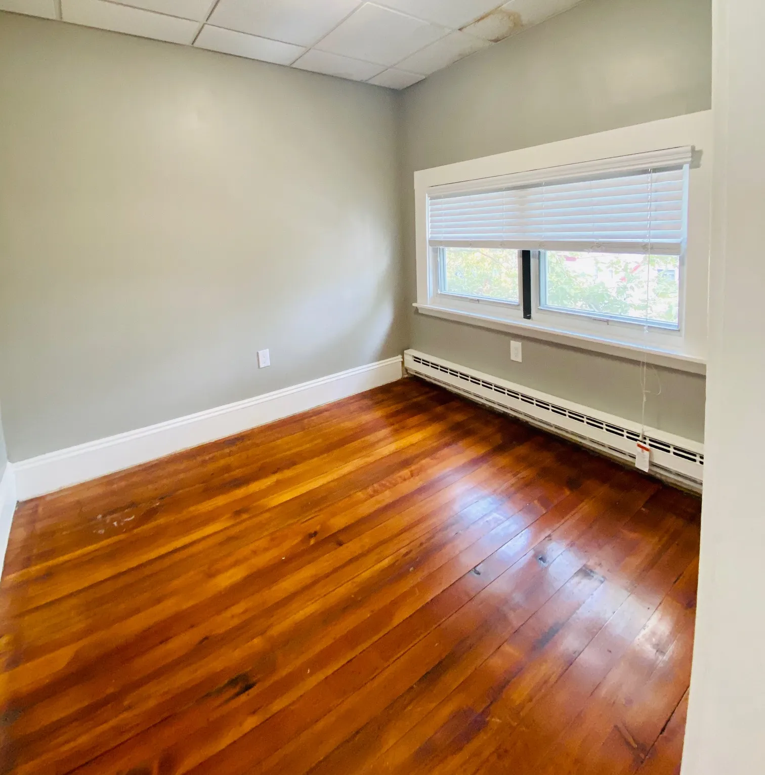 1 bed, 1 bath apartment for rent at 152 Liverpool St Unit 404, East Boston — photo 4 of 6