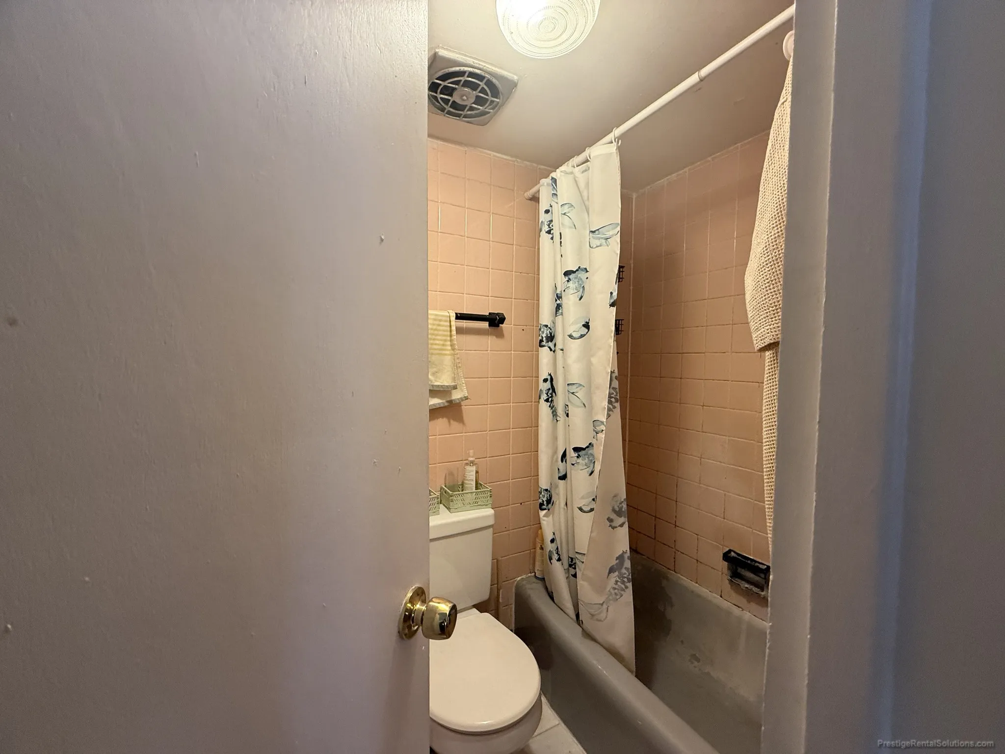 Studio bed, 1 bath apartment for rent at 153 Brighton Ave Unit 7, Allston — photo 3 of 7