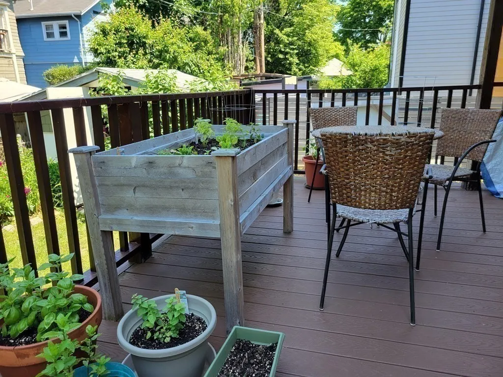 2 bed, 1 bath apartment for rent at 153 Chilton St Unit 153, Neighborhood Nine — photo 16 of 20