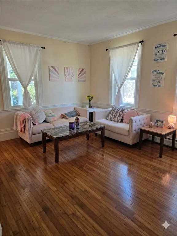 4 bed, 2 bath apartment for rent at 155 Amity St Unit n/a, Amherst — photo 13 of 16