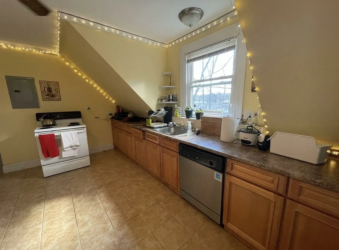 1 bed, 1 bath apartment for rent at 155 Kilsyth Rd Unit 2, Brighton — photo 3 of 15