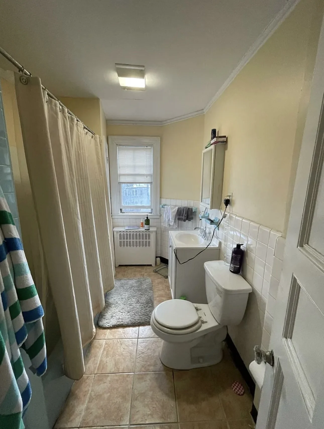 1 bed, 1 bath apartment for rent at 155 Kilsyth Rd Unit 2, Brighton — photo 11 of 15
