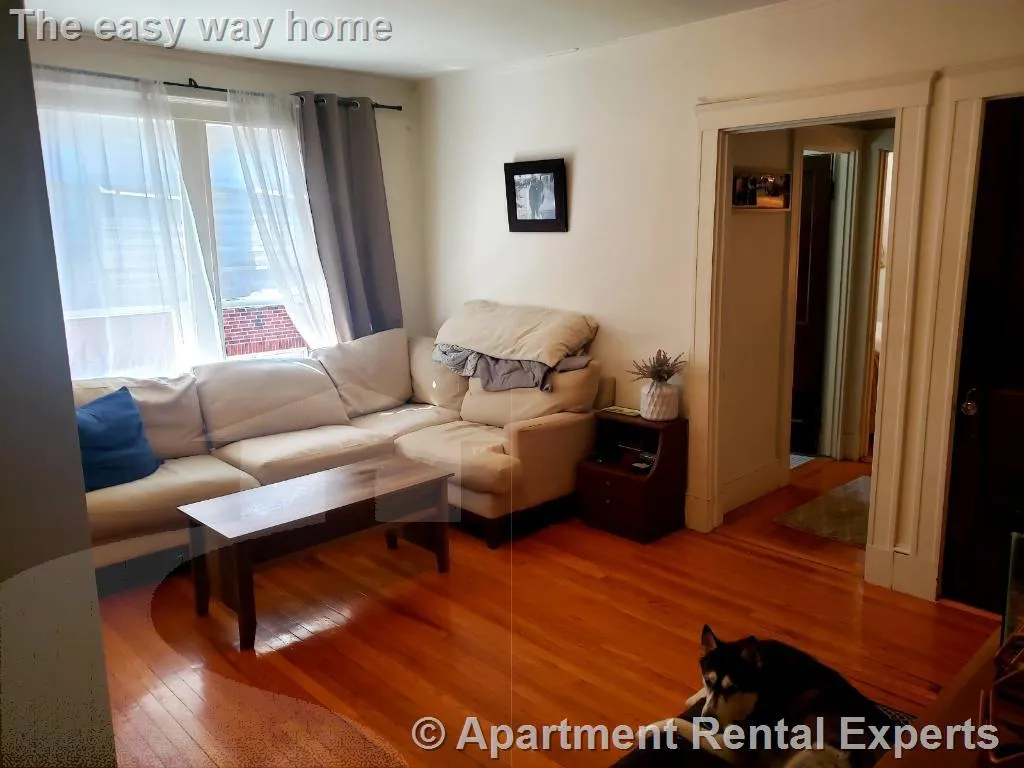1 bed, 1 bath apartment for rent at 155 Summer St Unit 11F, Spring Hill — photo 2 of 9