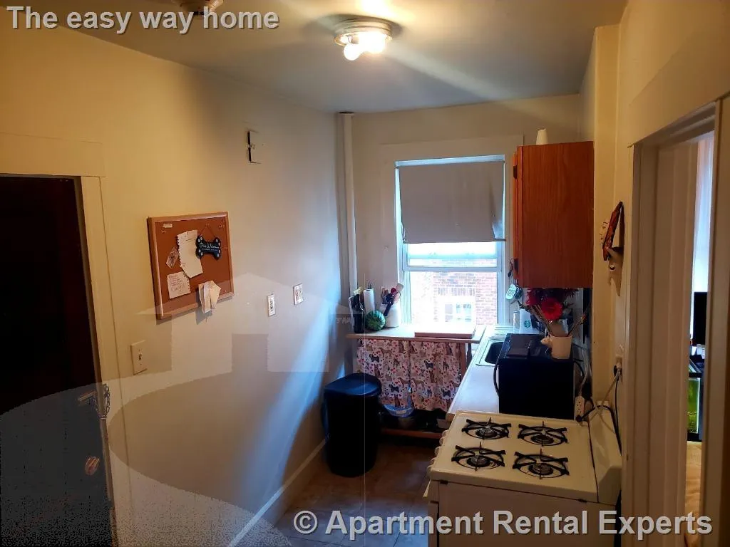 1 bed, 1 bath apartment for rent at 155 Summer St Unit 11F, Spring Hill — photo 6 of 9
