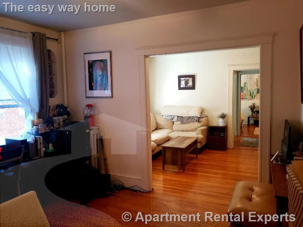 1 bed, 1 bath apartment for rent at 155 Summer St Unit 11F, Spring Hill — photo 4 of 9
