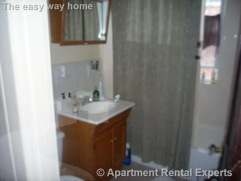 1 bed, 1 bath apartment for rent at 155 Summer St Unit 15F, Spring Hill — photo 4 of 6