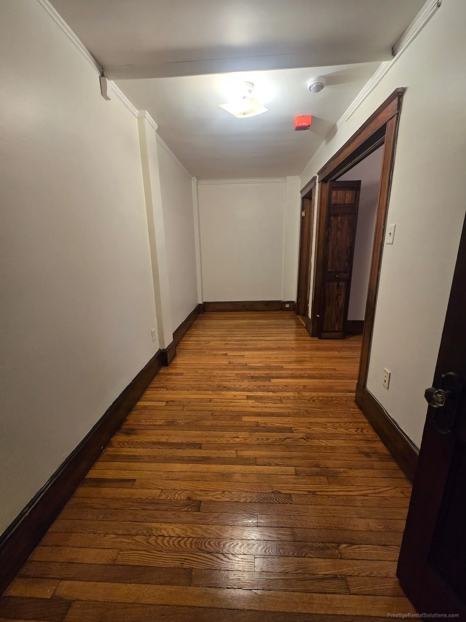 1 bed, 1 bath apartment for rent at 155 Summer St Unit 3B, Spring Hill — photo 9 of 12
