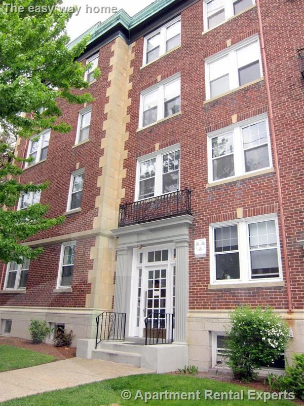 Studio bed, 1 bath apartment for rent at 155 Summer St Unit 4F, Spring Hill — photo 5 of 5