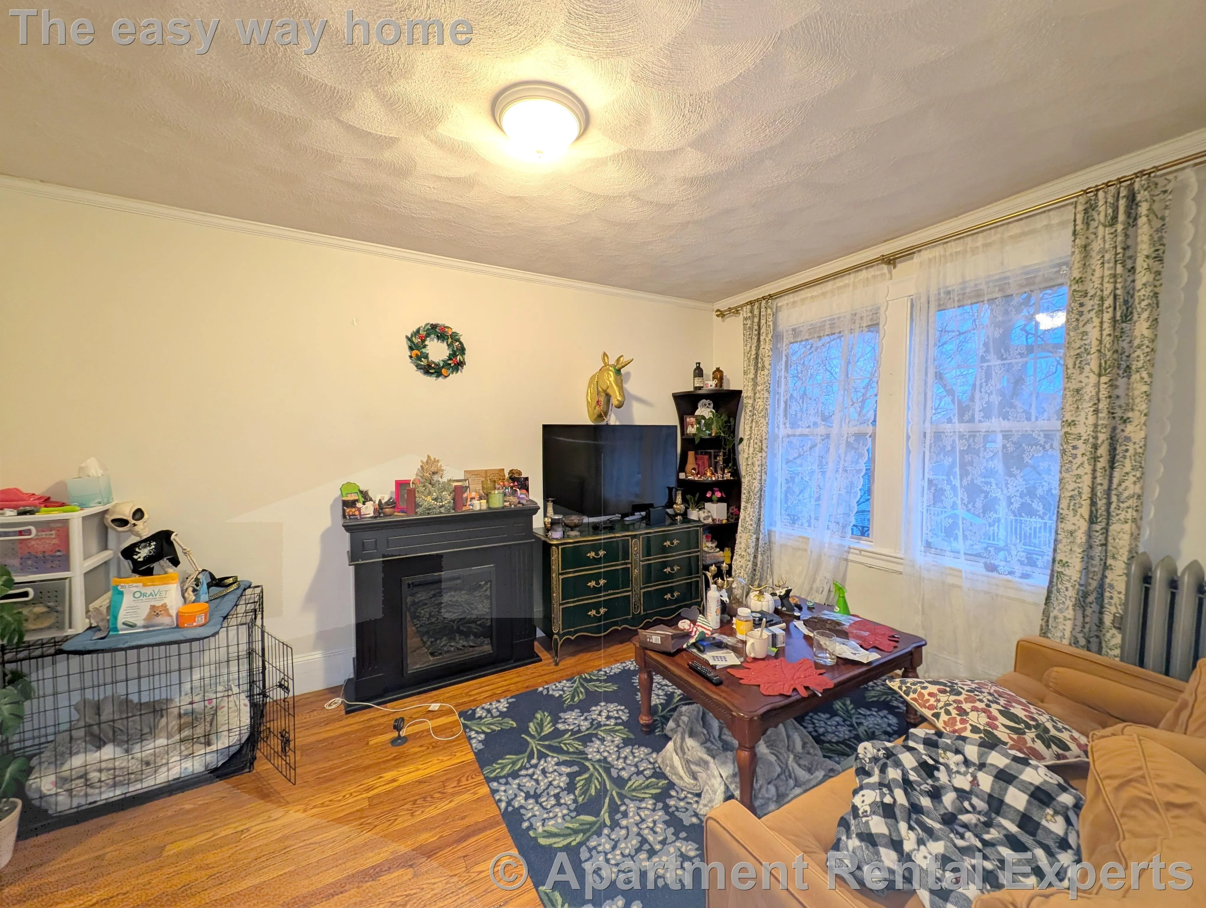 1 bed, 1 bath apartment for rent at 155 Summer St Unit 6F, Spring Hill — photo 6 of 11