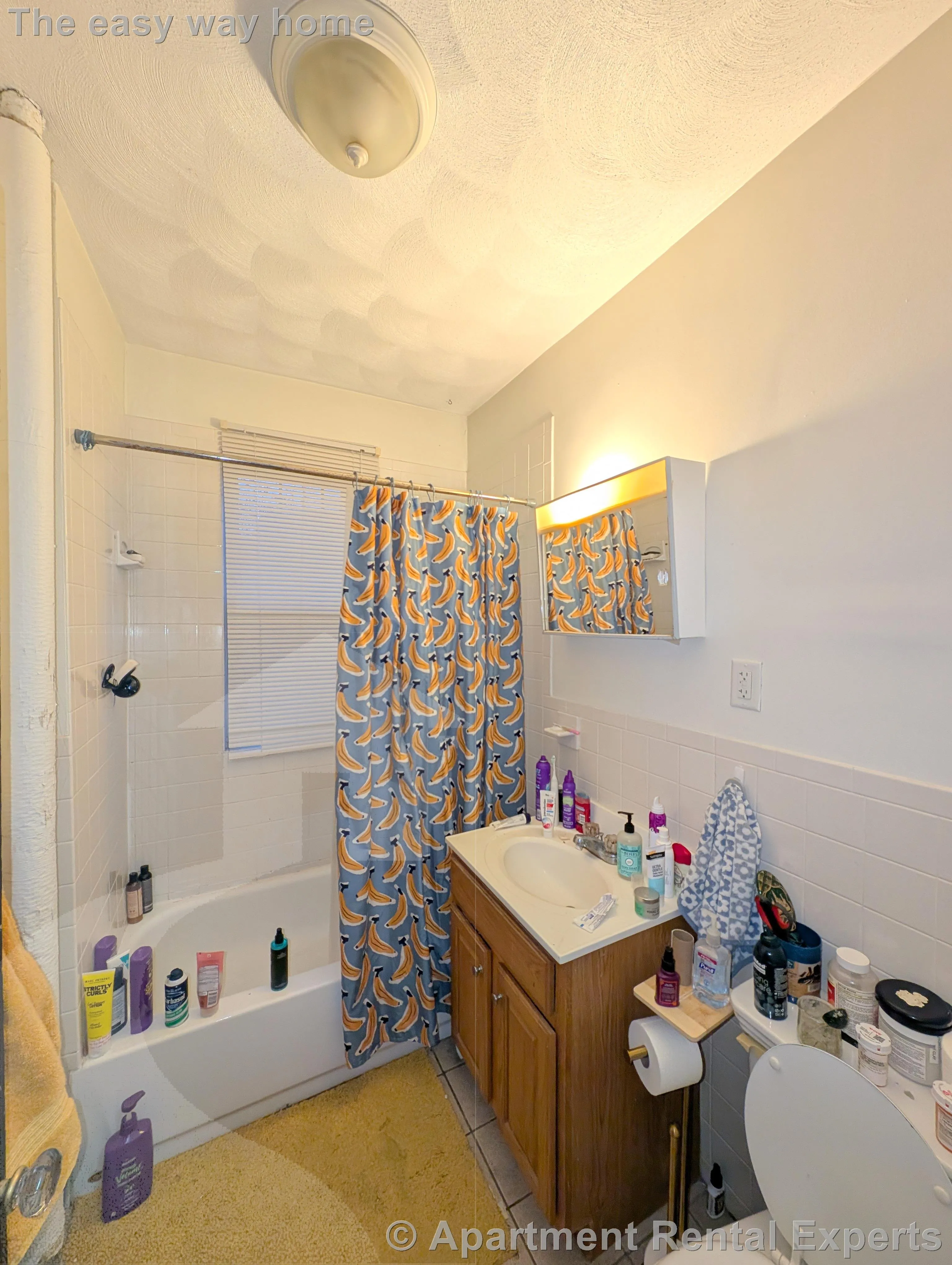 1 bed, 1 bath apartment for rent at 155 Summer St Unit 6F, Spring Hill — photo 8 of 11