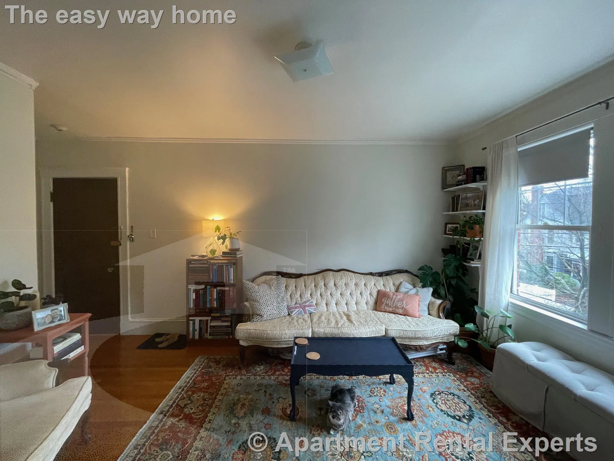 1 bed, 1 bath apartment for rent at 155 Summer St Unit 8F, Spring Hill — photo 5 of 10