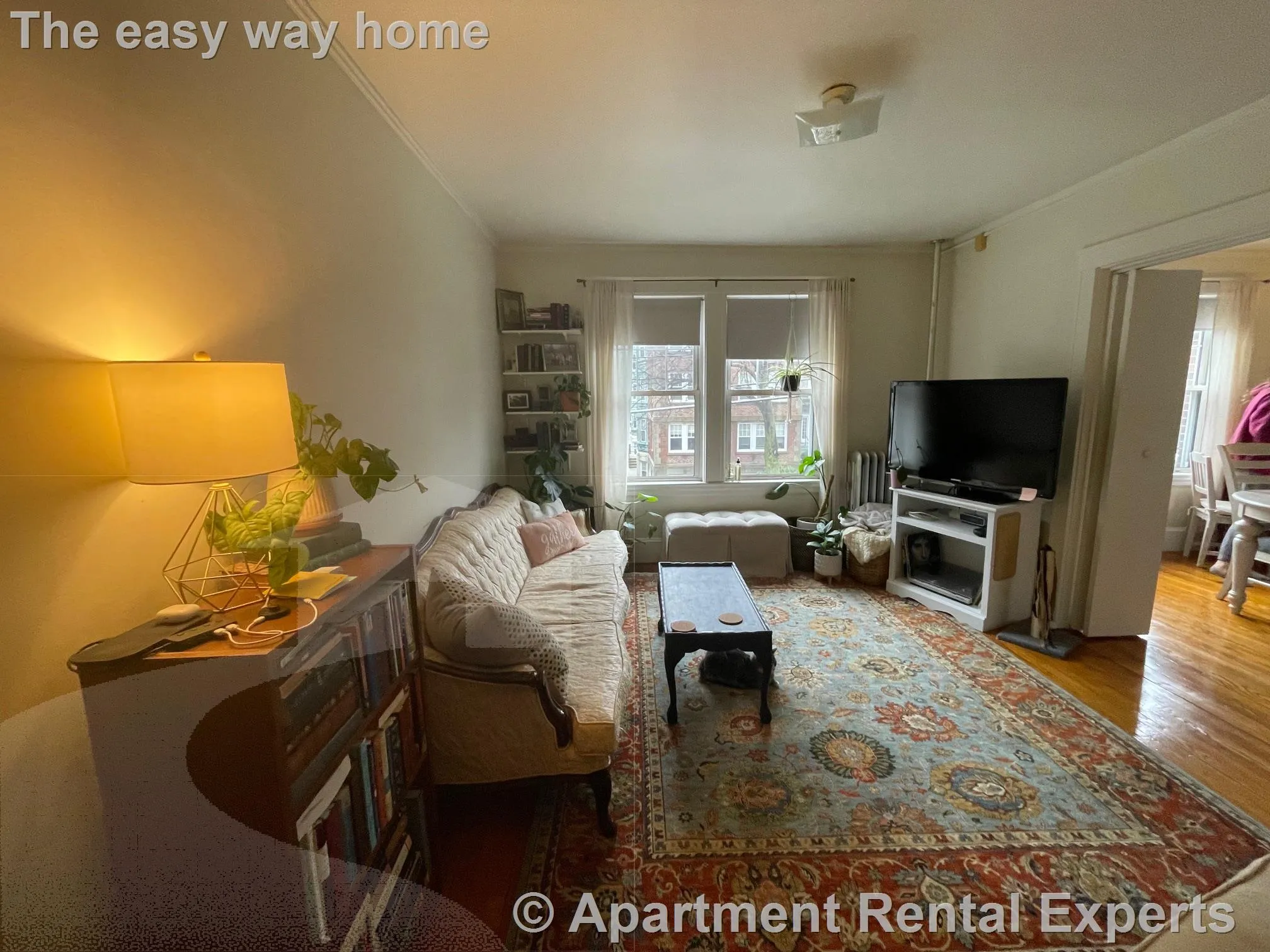 1 bed, 1 bath apartment for rent at 155 Summer St Unit 8F, Spring Hill — photo 1 of 10