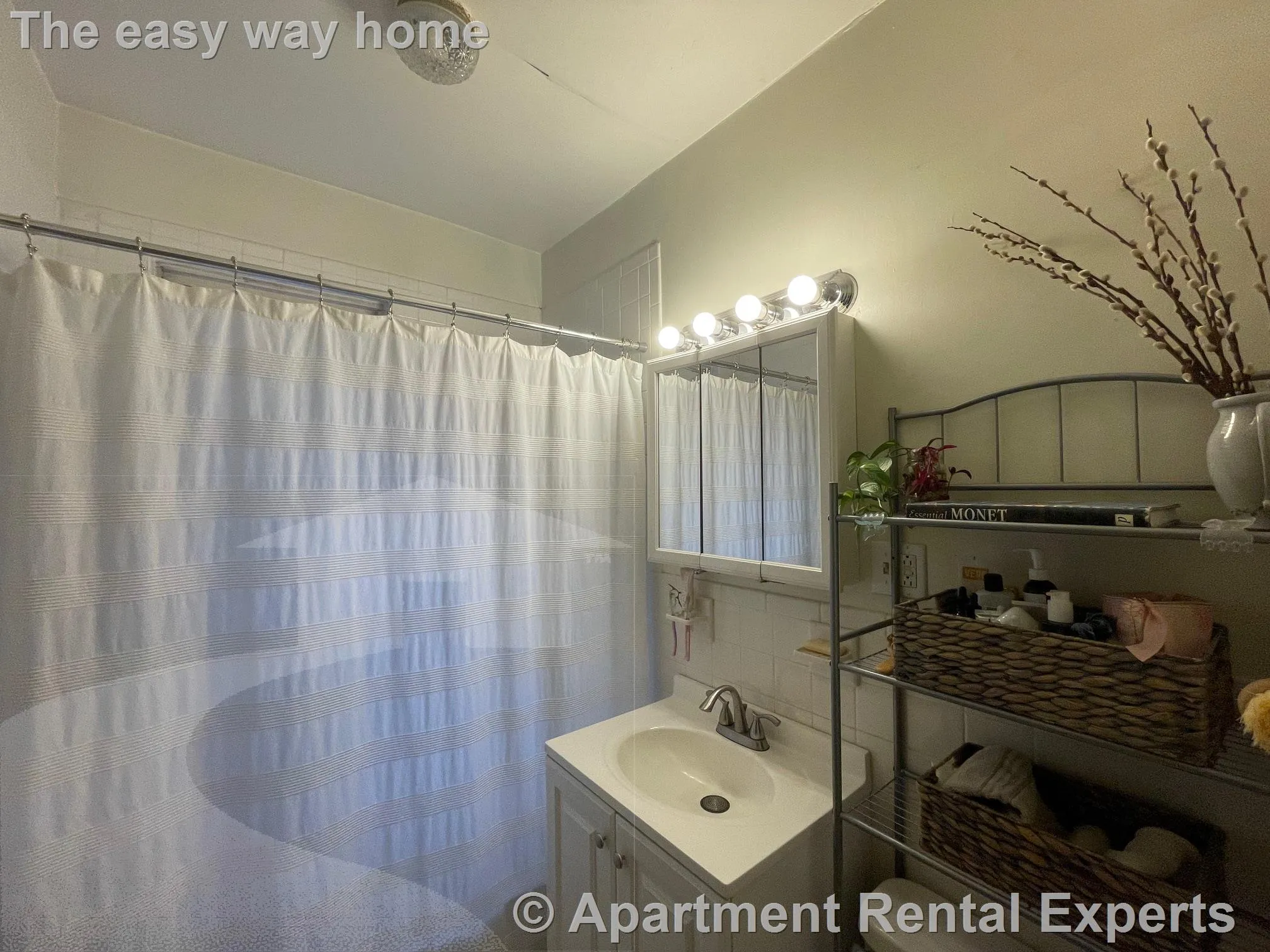1 bed, 1 bath apartment for rent at 155 Summer St Unit 8F, Spring Hill — photo 8 of 10