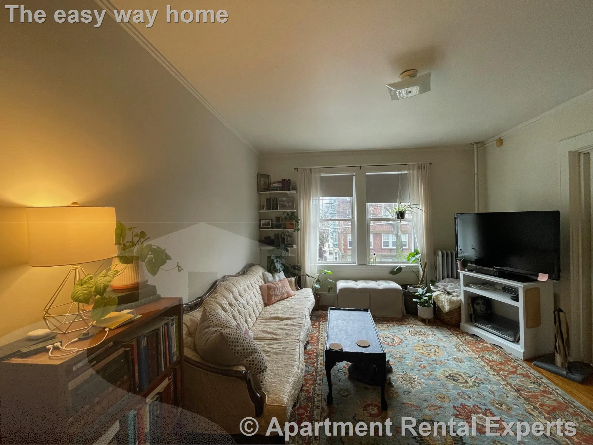 1 bed, 1 bath apartment for rent at 155 Summer St Unit 8F, Spring Hill — photo 2 of 10