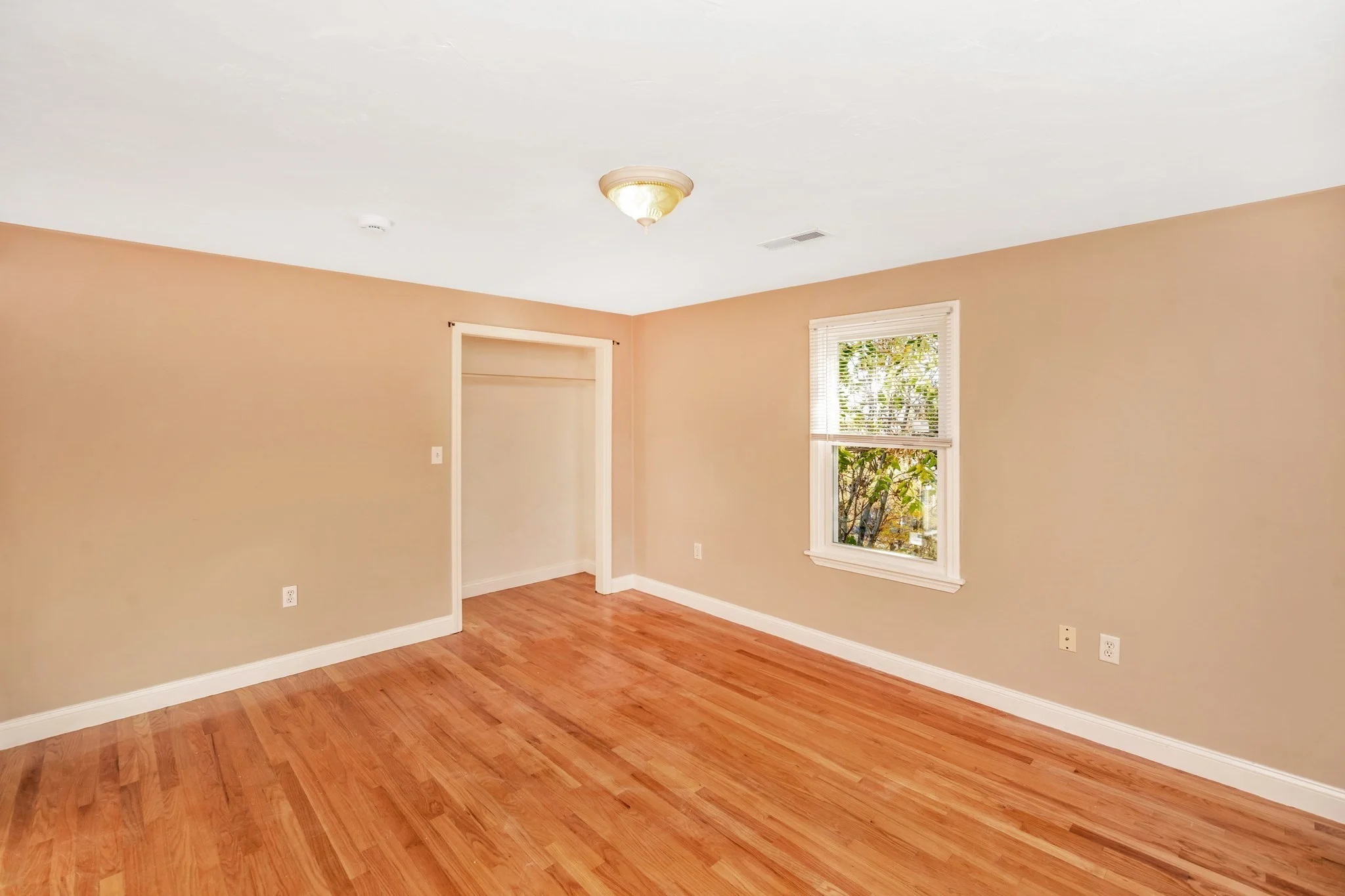 2 bed, 1 bath apartment for rent at 1557 Blue Hill Ave Unit 3, Mattapan — photo 5 of 8
