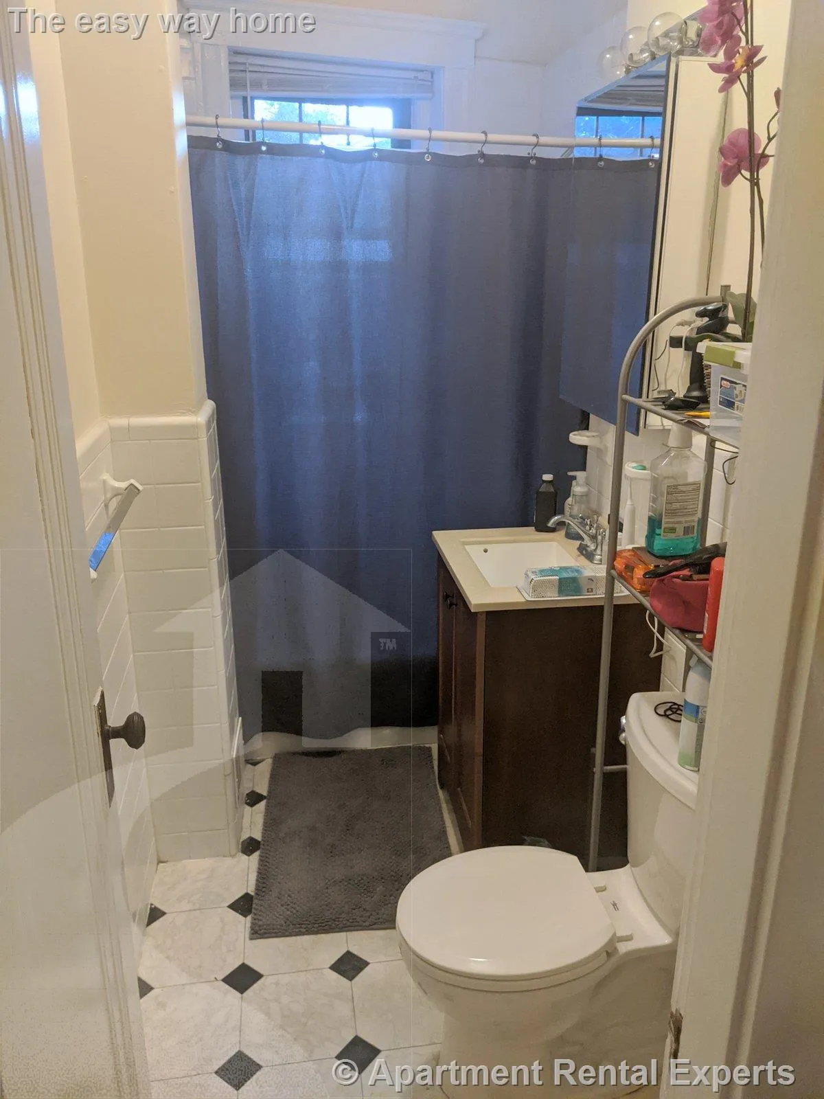 2 bed, 1 bath apartment for rent at 1558 Massachusetts Ave Unit 32, Harvard Square — photo 13 of 22