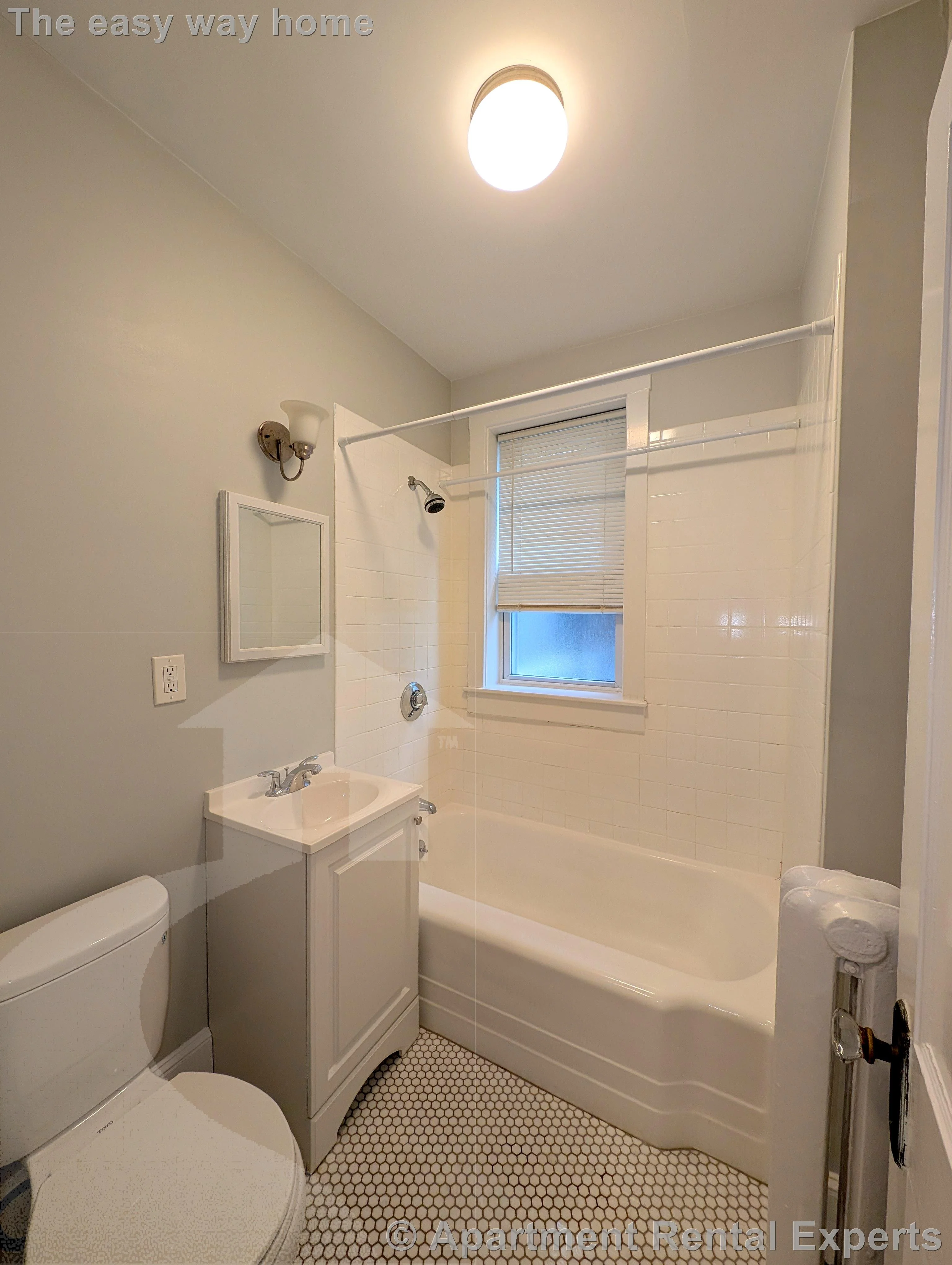 1 bed, 1 bath apartment for rent at 156-158 Summer St Unit 109, Spring Hill — photo 4 of 9