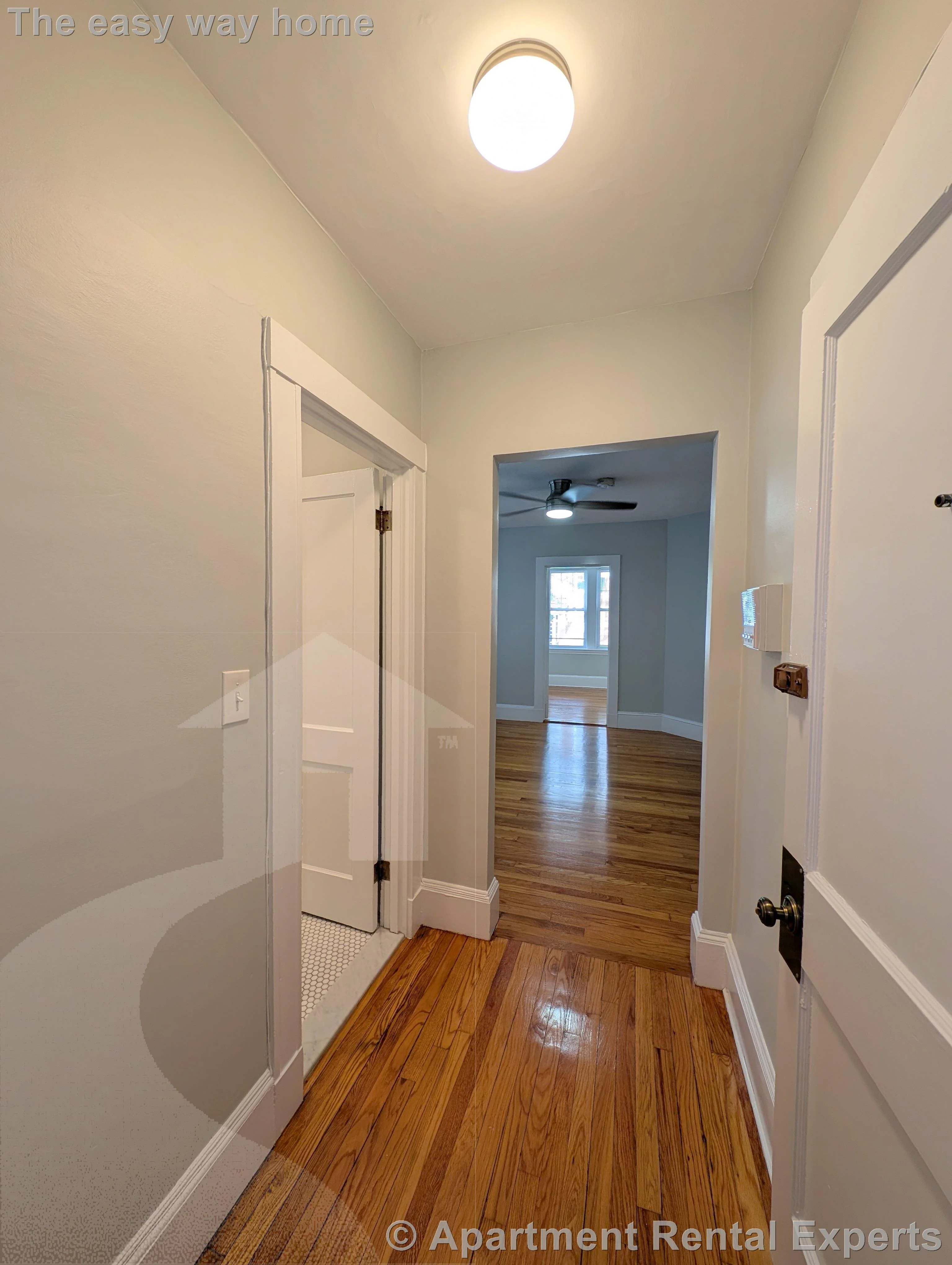 1 bed, 1 bath apartment for rent at 156-158 Summer St Unit 109, Spring Hill — photo 3 of 9