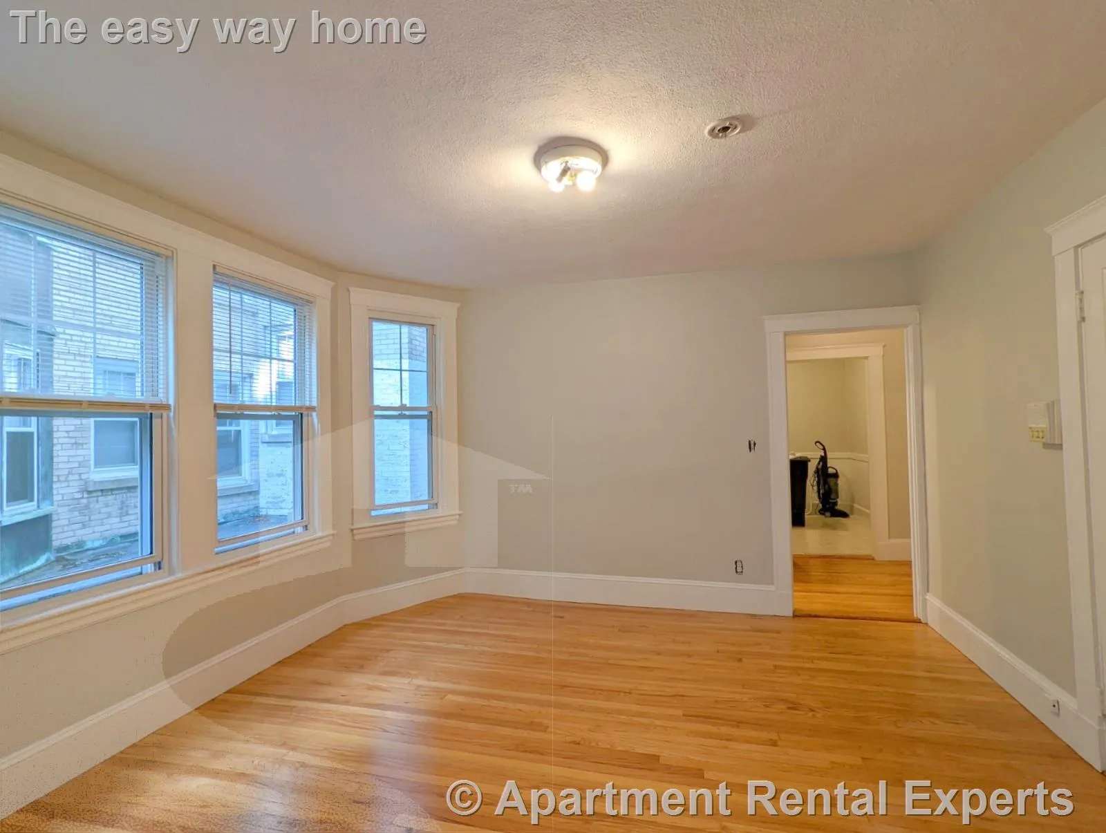 1 bed, 1 bath apartment for rent at 156-158 Summer St Unit 115, Spring Hill — photo 2 of 9