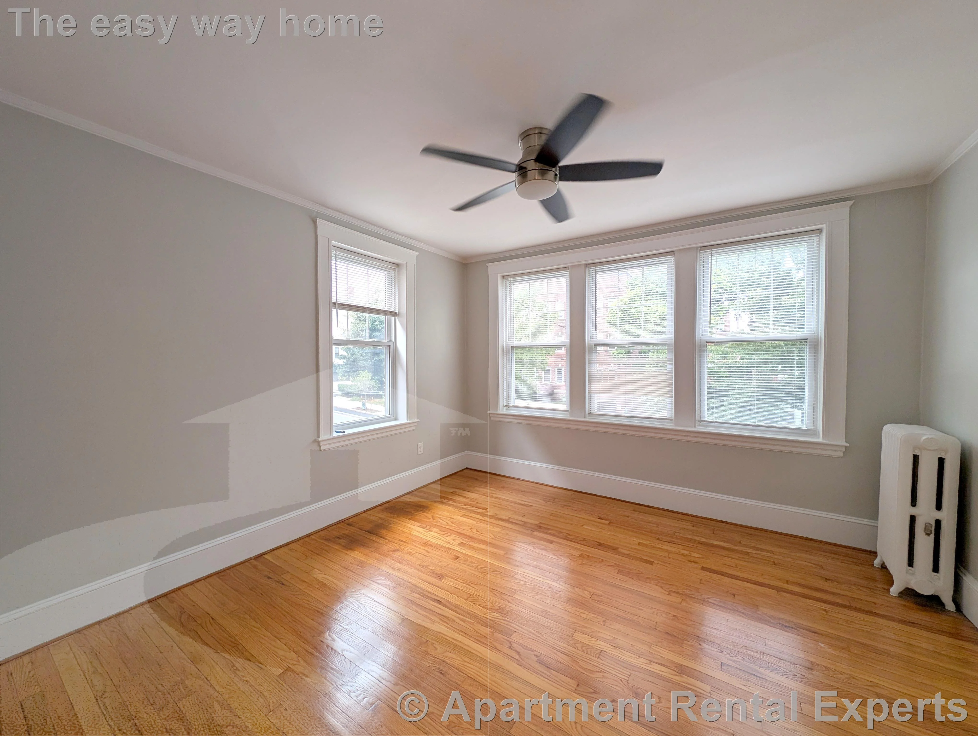 1 bed, 1 bath apartment for rent at 156-158 Summer St Unit 203, Spring Hill — photo 8 of 10
