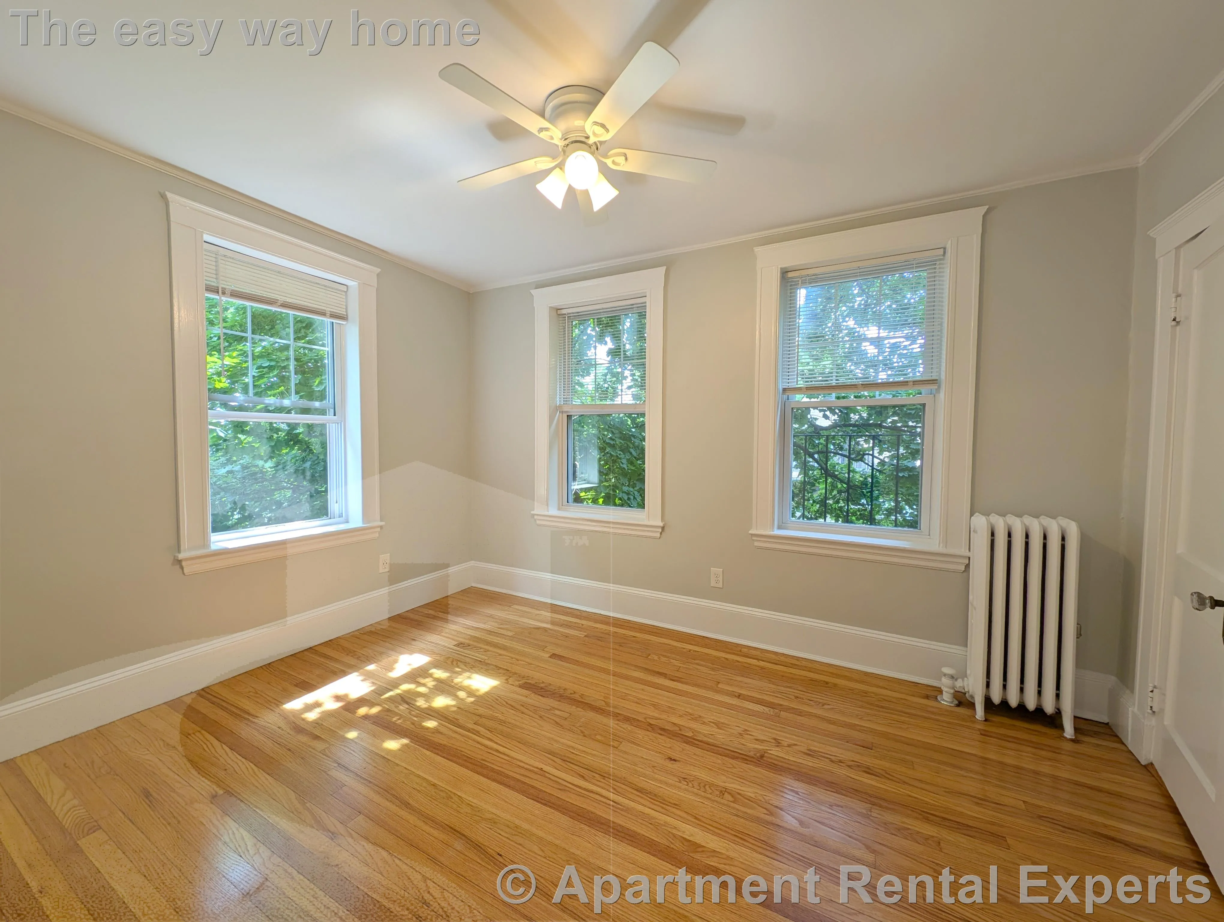 1 bed, 1 bath apartment for rent at 156-158 Summer St Unit 206, Spring Hill — photo 8 of 9