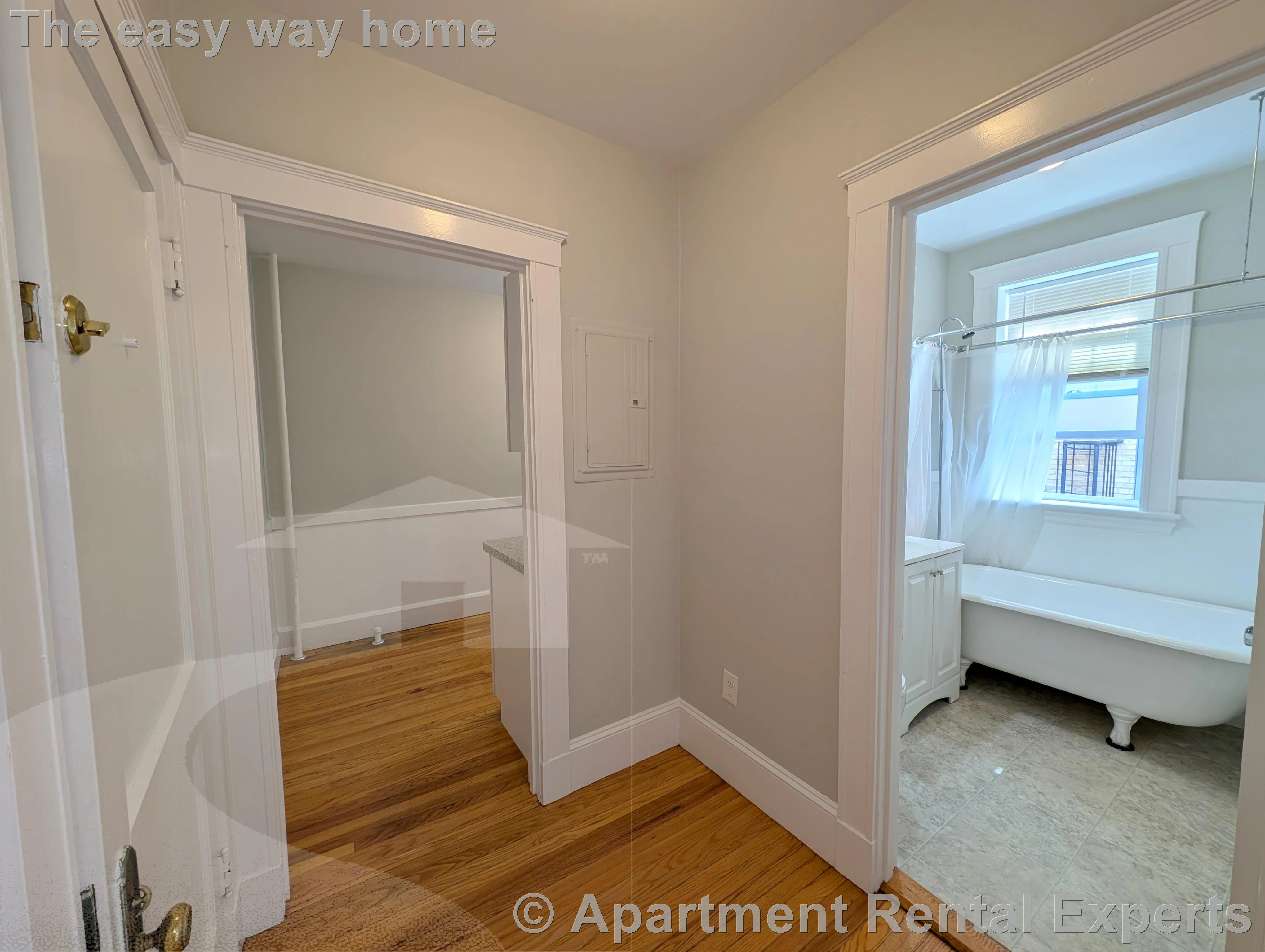 1 bed, 1 bath apartment for rent at 156-158 Summer St Unit 206, Spring Hill — photo 4 of 9