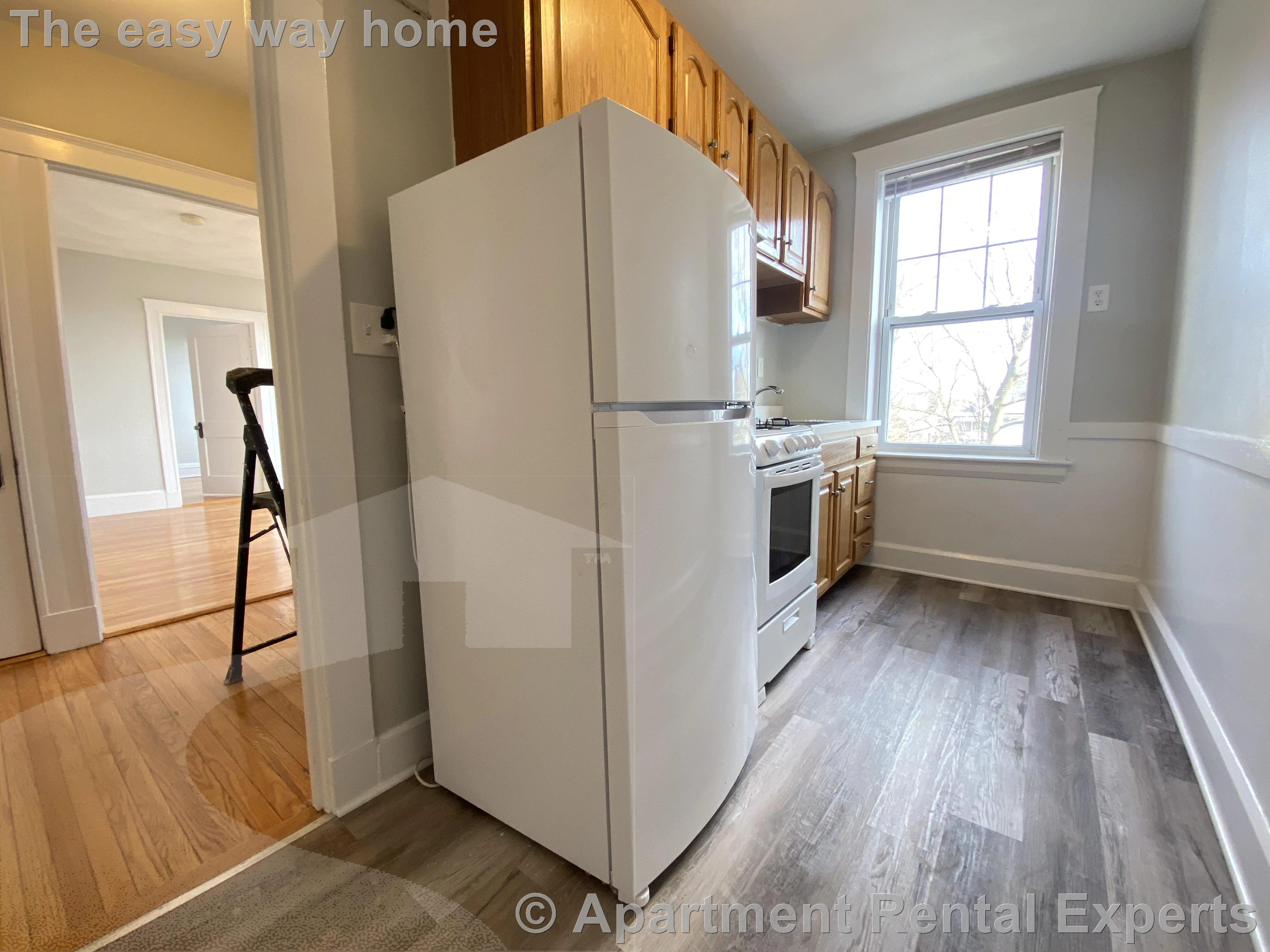 1 bed, 1 bath apartment for rent at 156-158 Summer St Unit 211, Spring Hill — photo 4 of 6