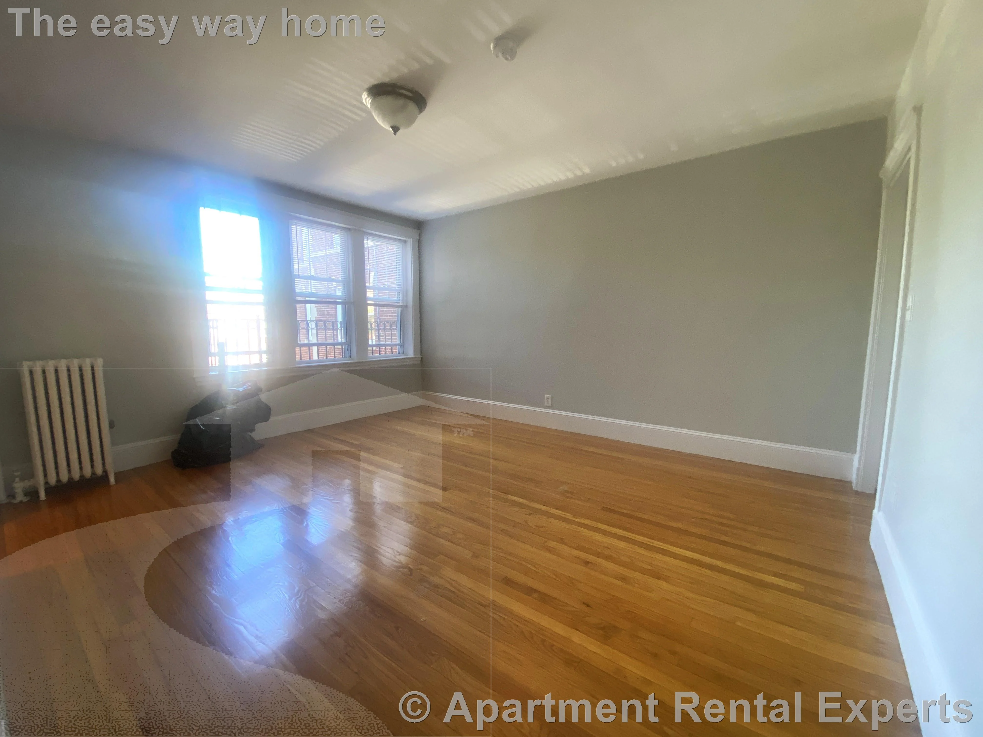 Studio bed, 1 bath apartment for rent at 156-158 Summer St Unit 301, Spring Hill — photo 7 of 7