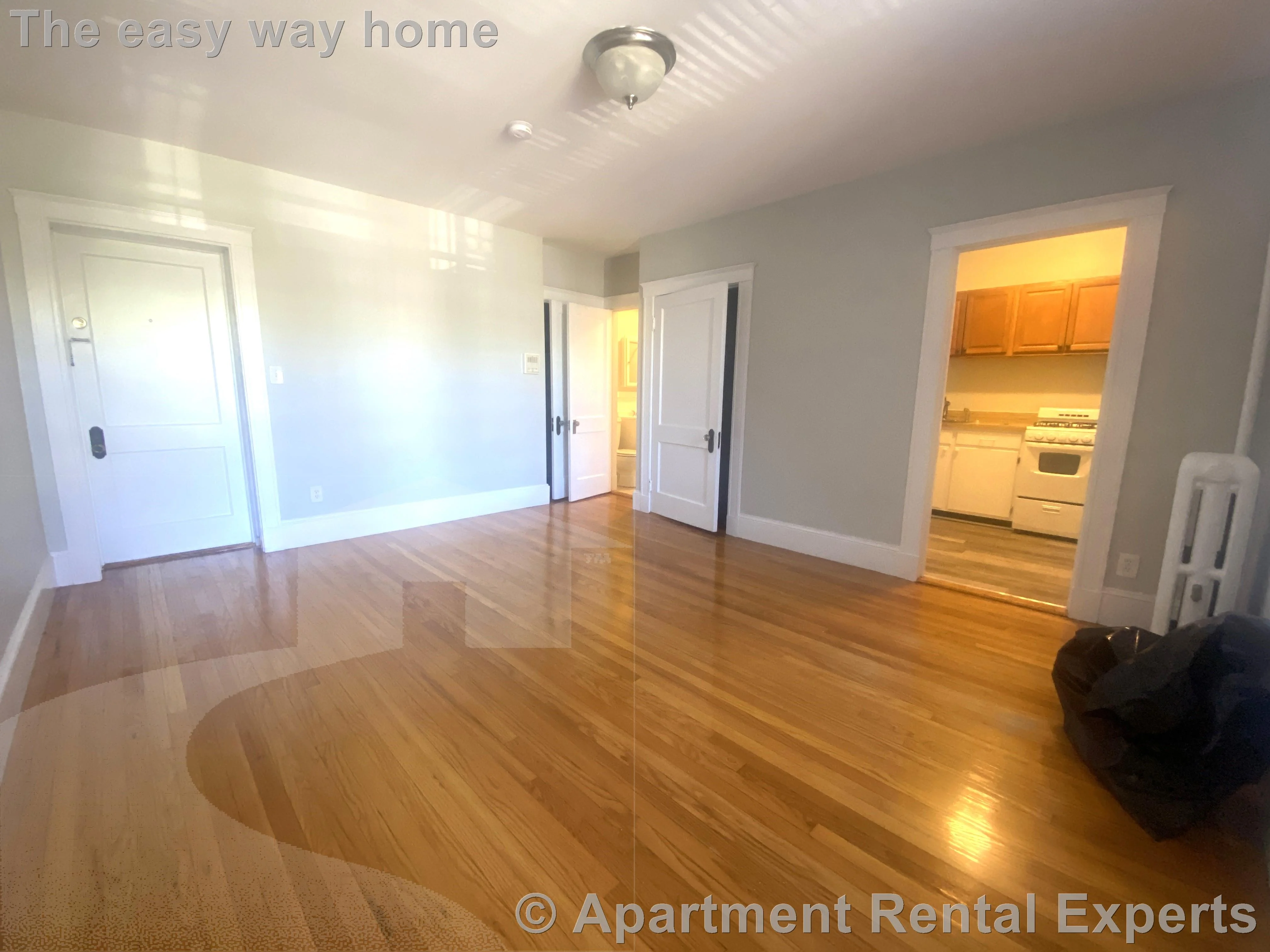 Studio bed, 1 bath apartment for rent at 156-158 Summer St Unit 301, Spring Hill — photo 3 of 7