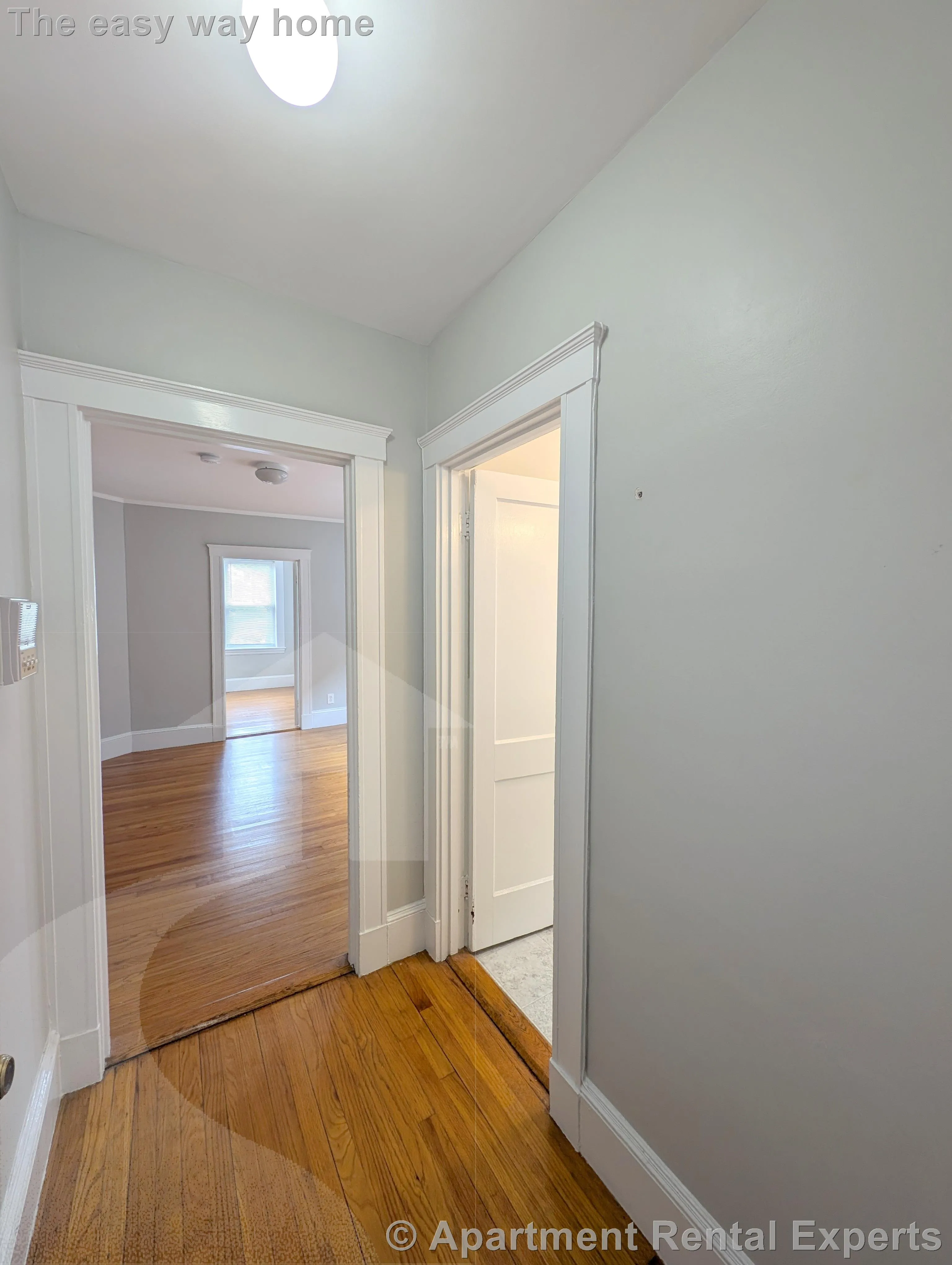 1 bed, 1 bath apartment for rent at 156-158 Summer St Unit 302, Spring Hill — photo 6 of 9